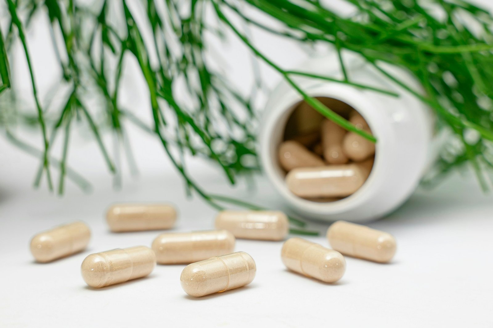 Beige vitamin supplement capsules spilling from a white bottle next to green pine needles